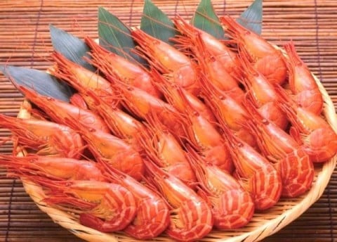 海老（お刺身・ボイル）