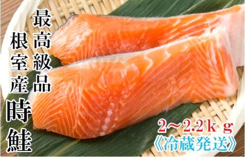 最高級品　時鮭