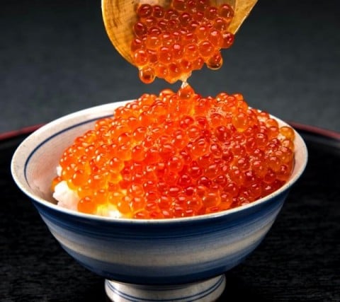 魚卵